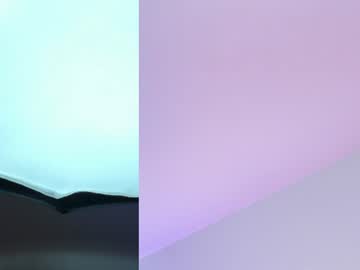 kate_bunny_