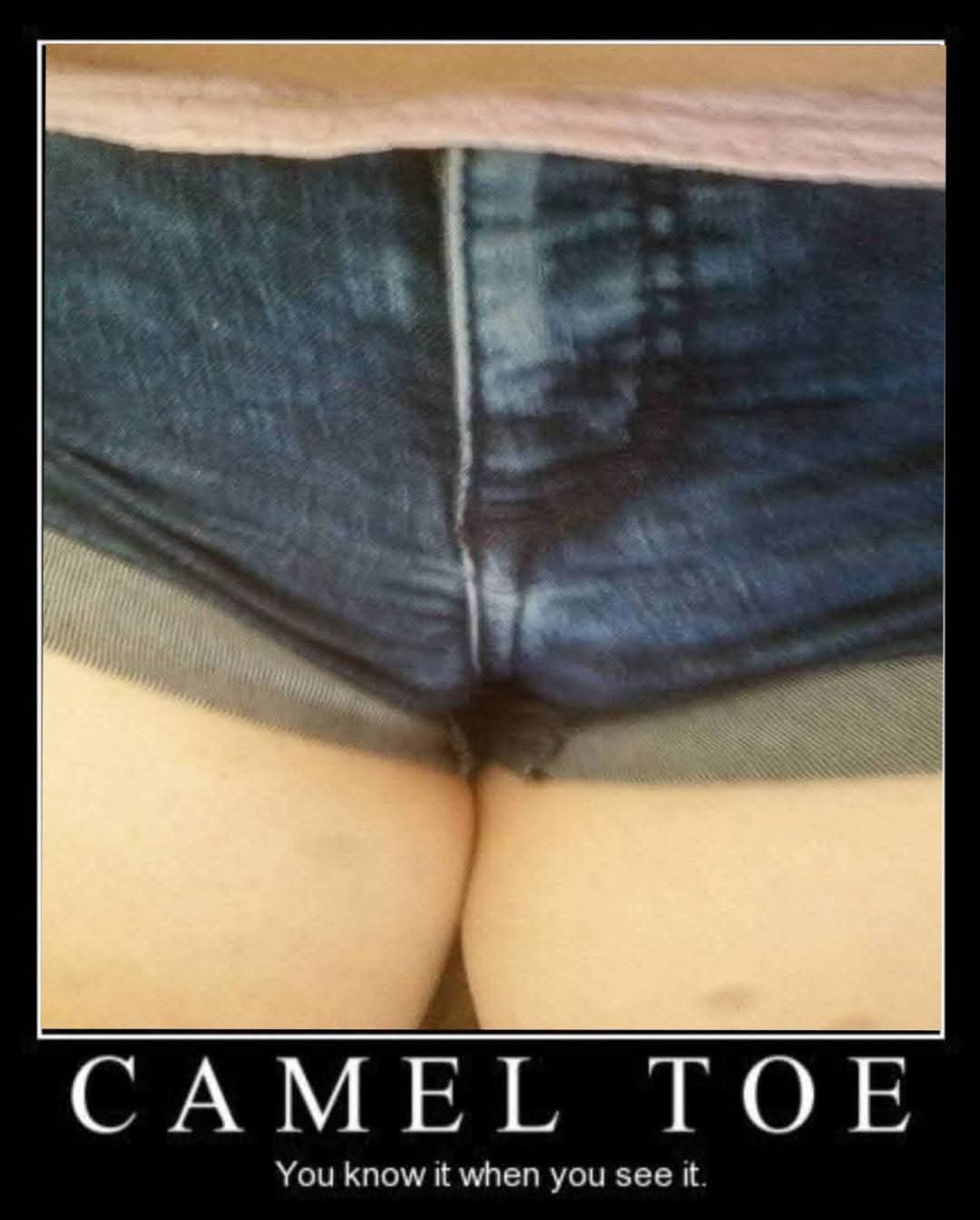 Wifes cameltoe one of the best out there. — 24