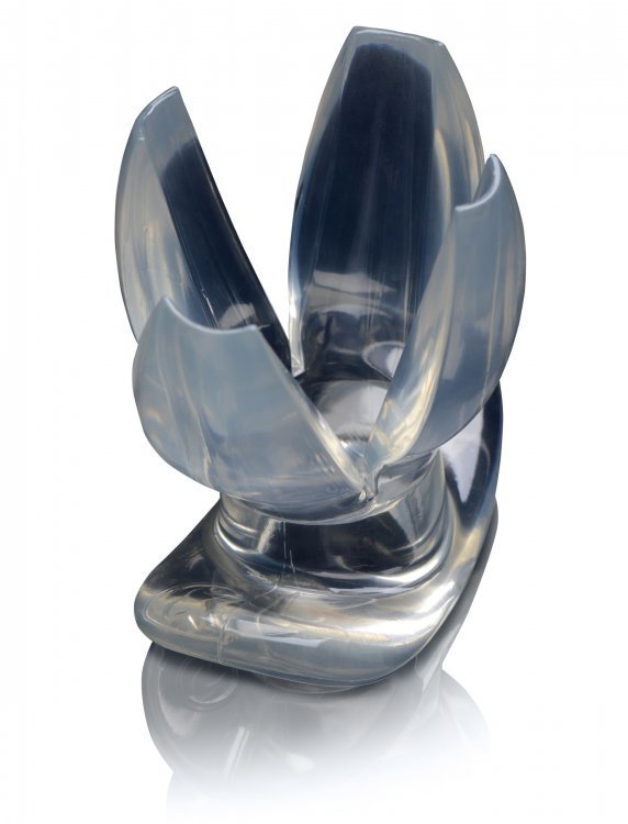 My new Extreme Anal Gape Trainer MasterSeries CLAW — 5