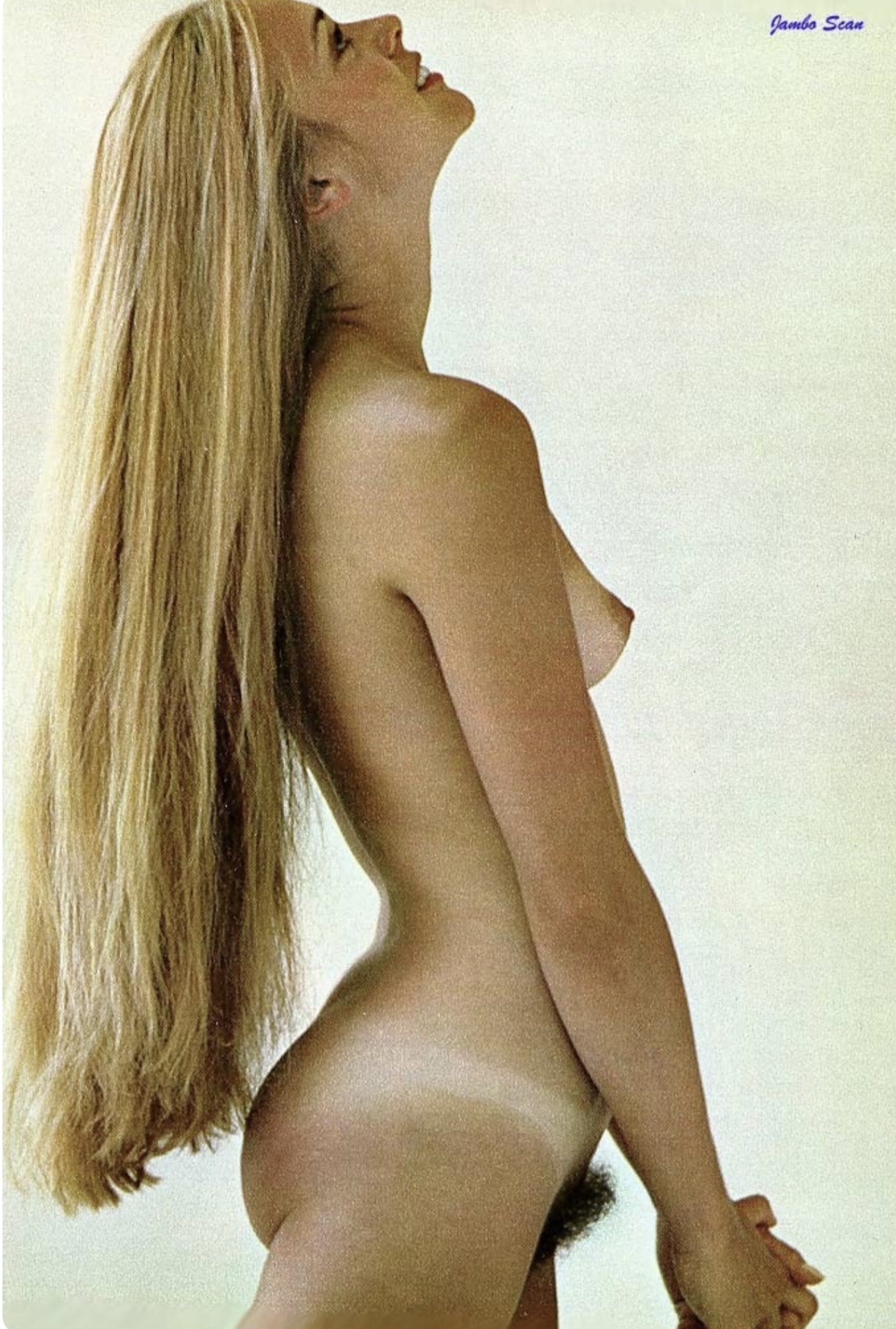 Vintage Magazine Pictorial 5 - sexy hairy pussy — 23