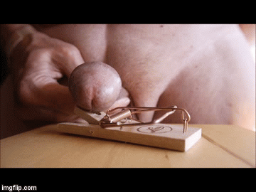 Cock and Ball Play — 12