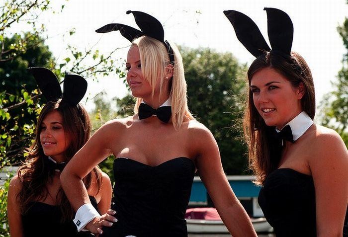 Girl Bunny — 57
