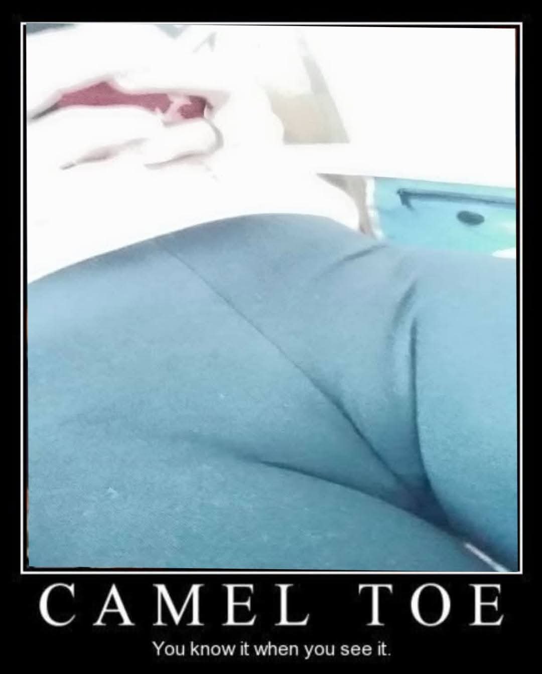 Wifes cameltoe one of the best out there. — 9