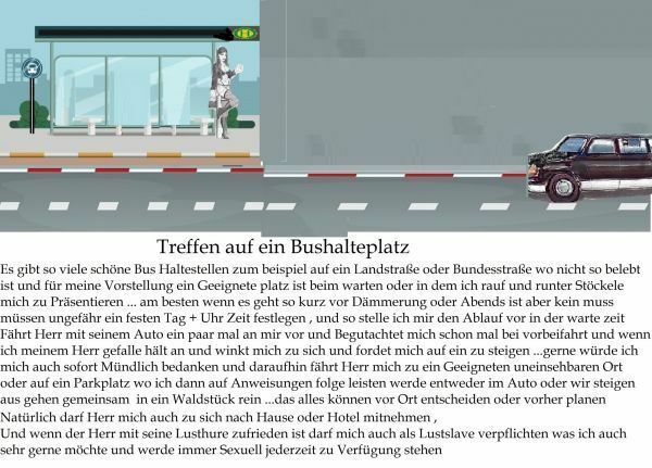 Crossdresser ,Sissy , Tranny , cartoons mit Infos — 5